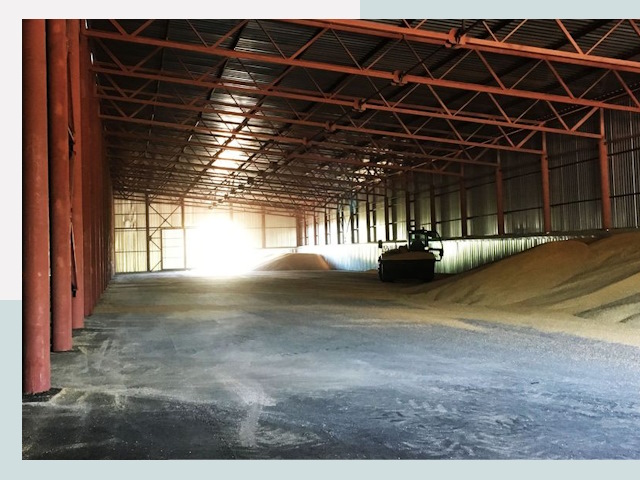 Строительство зернохранилищ в Черняховске