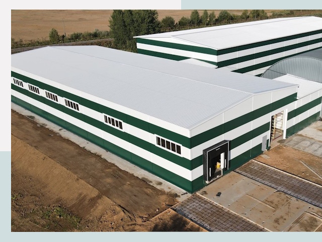 Строительство овощехранилищ в Черняховске