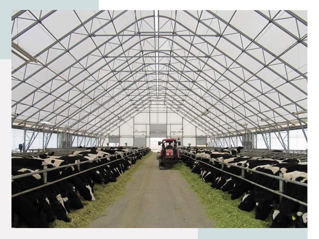 Тентовые коровники в Черняховске от 629 руб. - Надежно и доступно