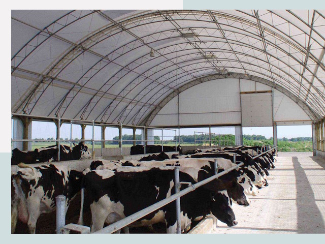 Тентовые коровники в Черняховске